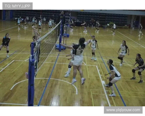 排球盛宴：深入广州排球队揭秘团队协作的力量与魅力