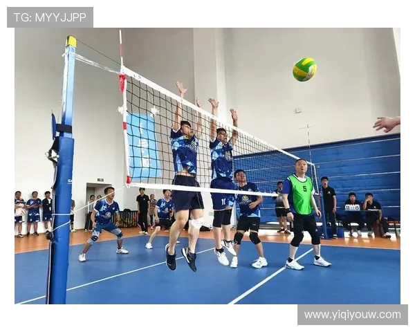 深圳排球队创历史新高排球状态排名再创新高峰