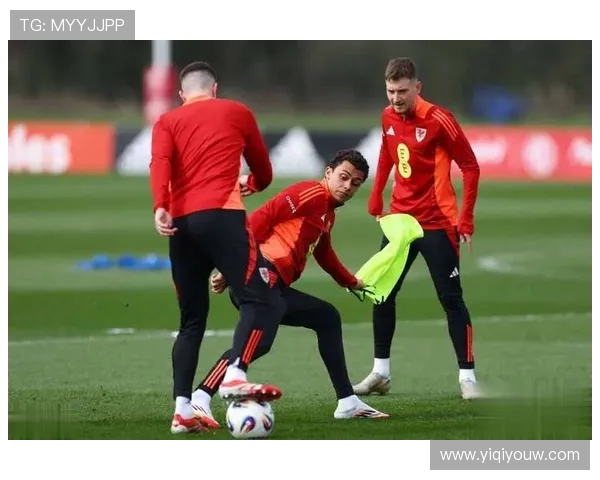 墨西哥与威尔士激战成和双方进球精彩瞬间回顾