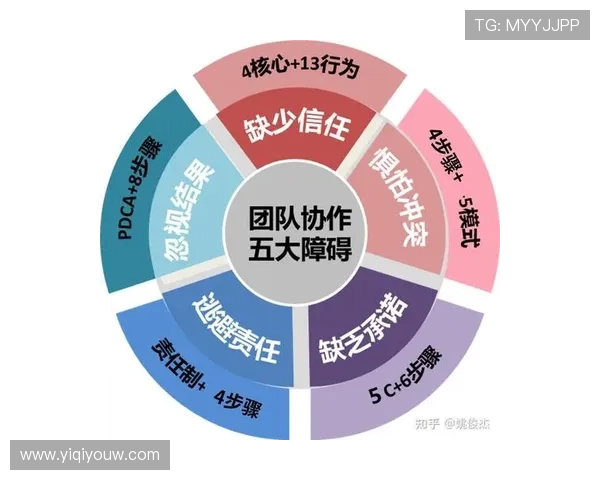 武汉乒乓球队个人能力提升之路与团队协作的完美结合探讨